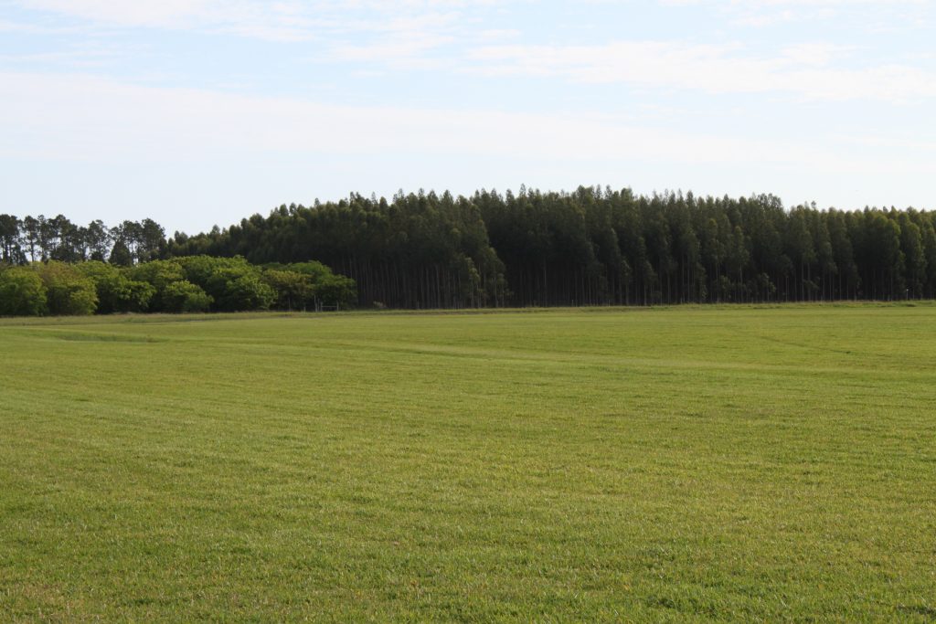 Picture of our sod farm in Bowling Green, FL