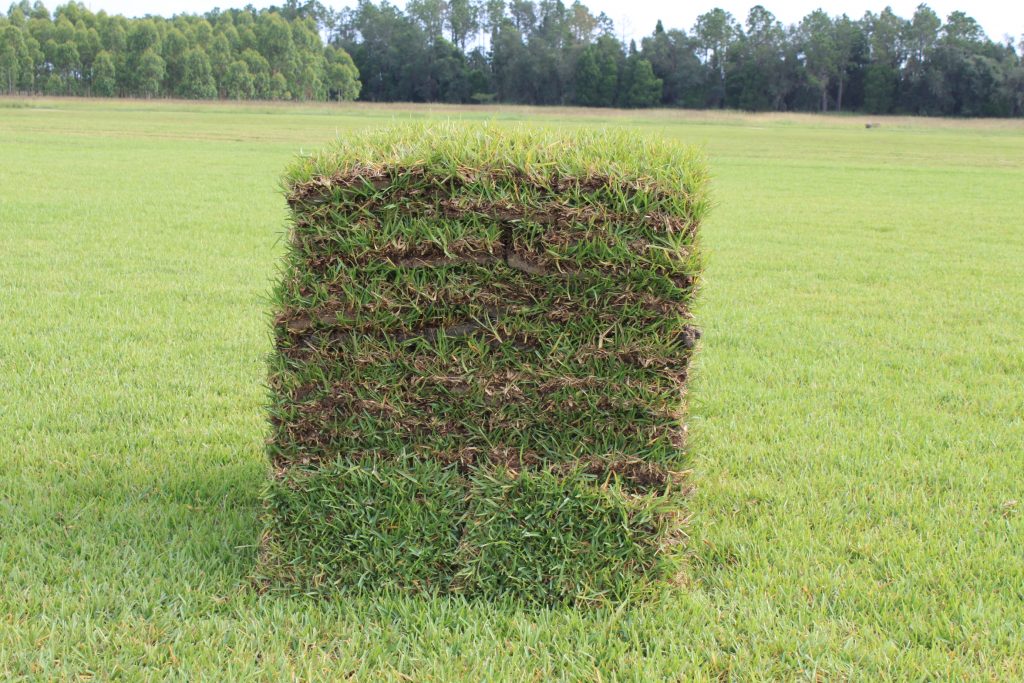 a pallet of St. Augustine Floratam Sod